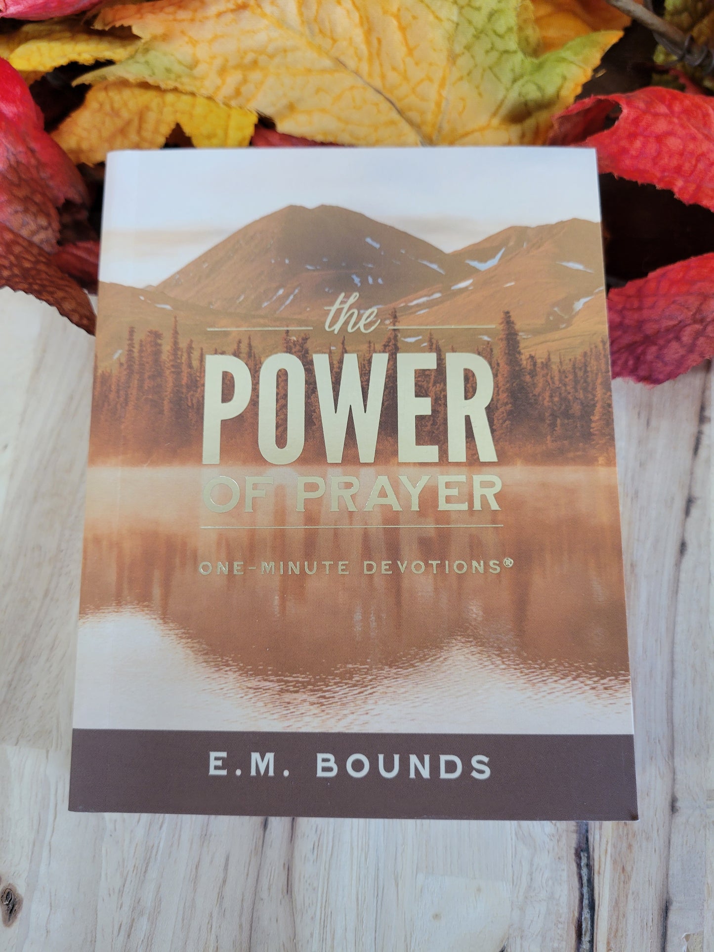 The Power of Prayer--One Minute Devotions