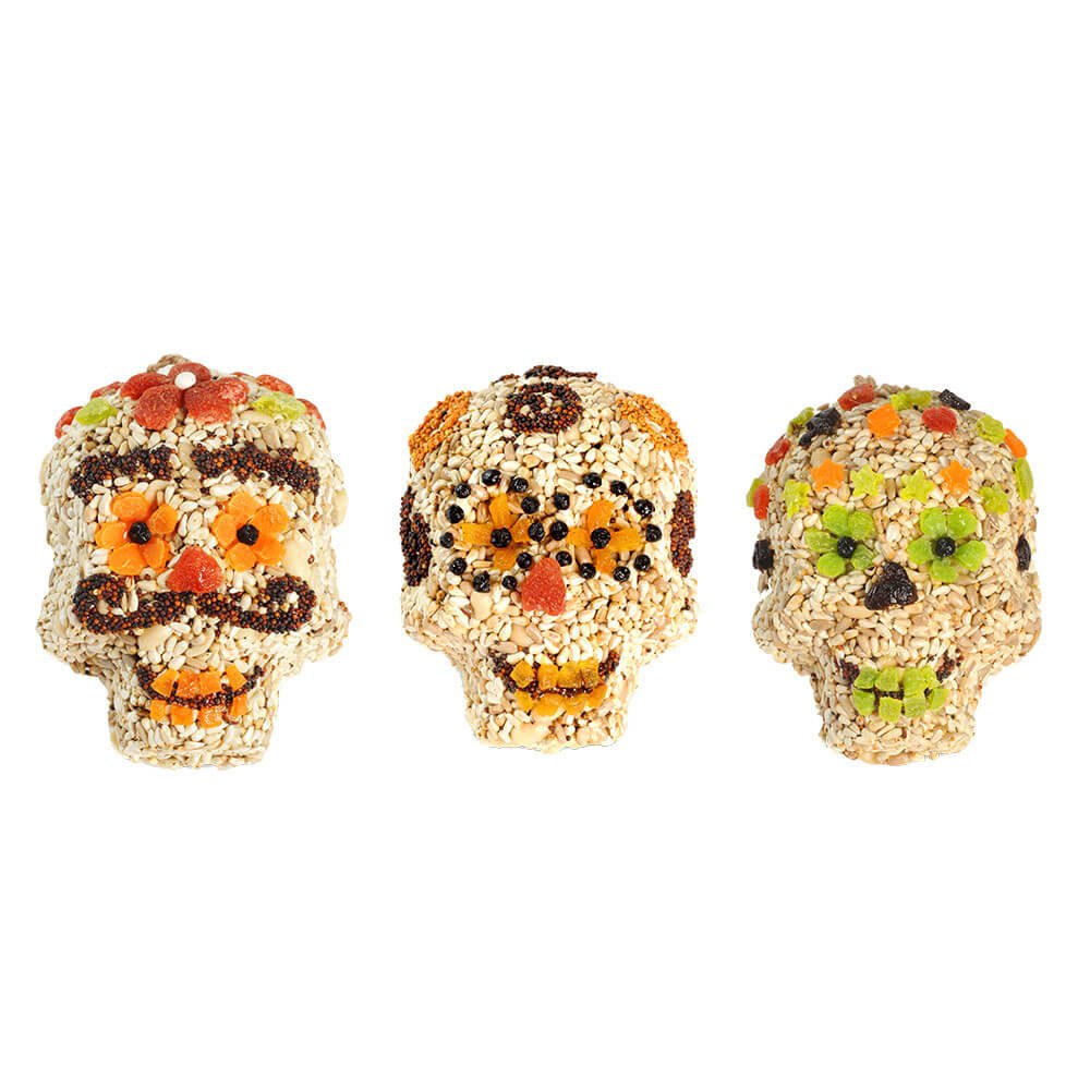 Bird Seed Skull