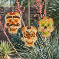 Bird Seed Skull