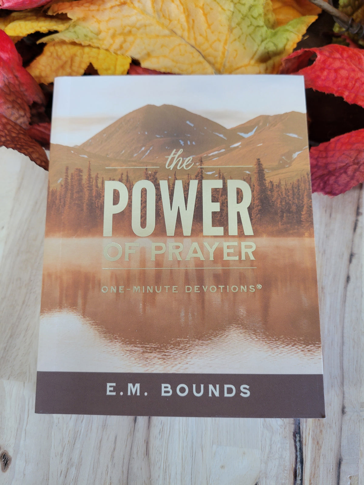 The Power of Prayer--One Minute Devotions
