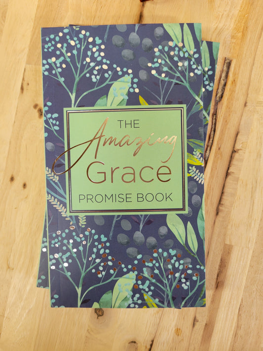 The Amazing Grace Promise Book