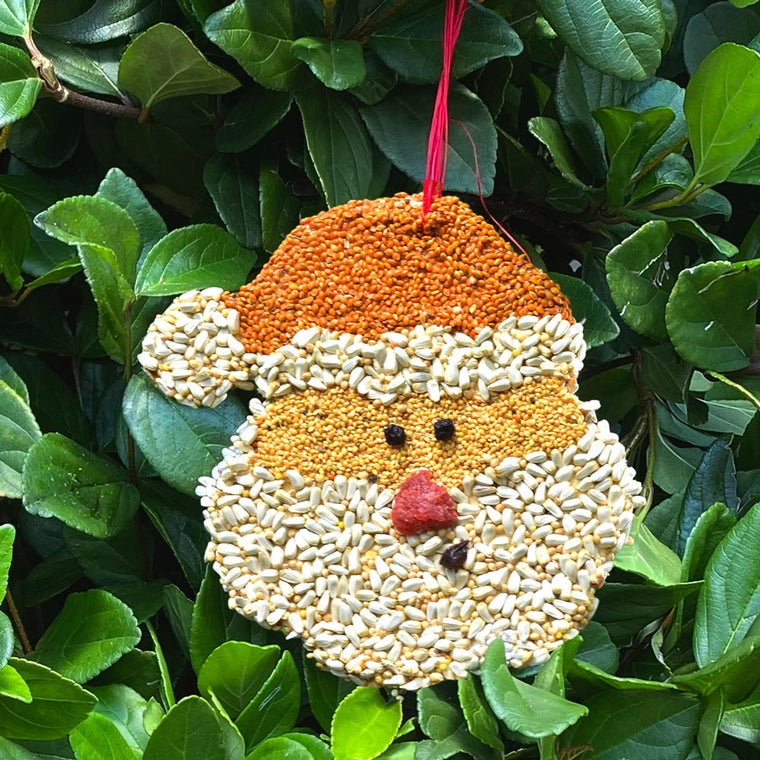 Bird Seed Christas Cookie