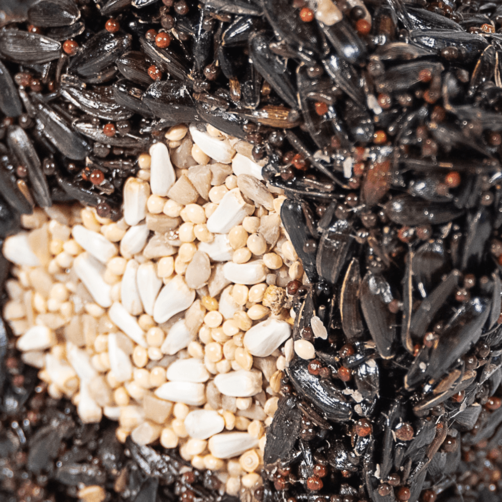 Lone Star Bird Seed Treat
