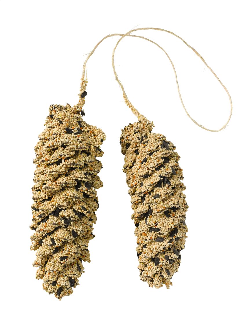 Pinecone Pair Bird Seed