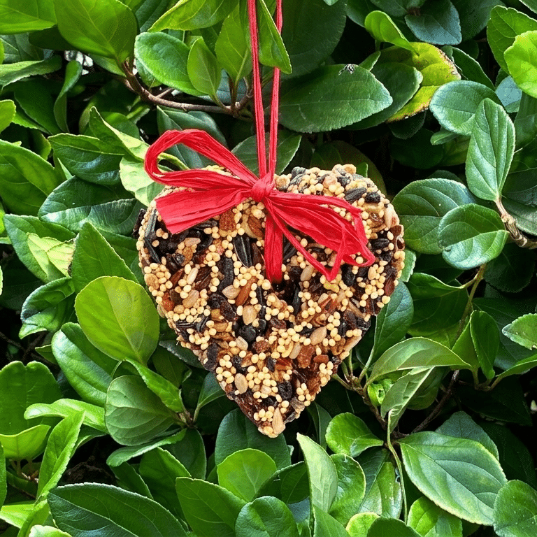 Little Heart Bird Seed Treat