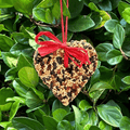 Little Heart Bird Seed Treat