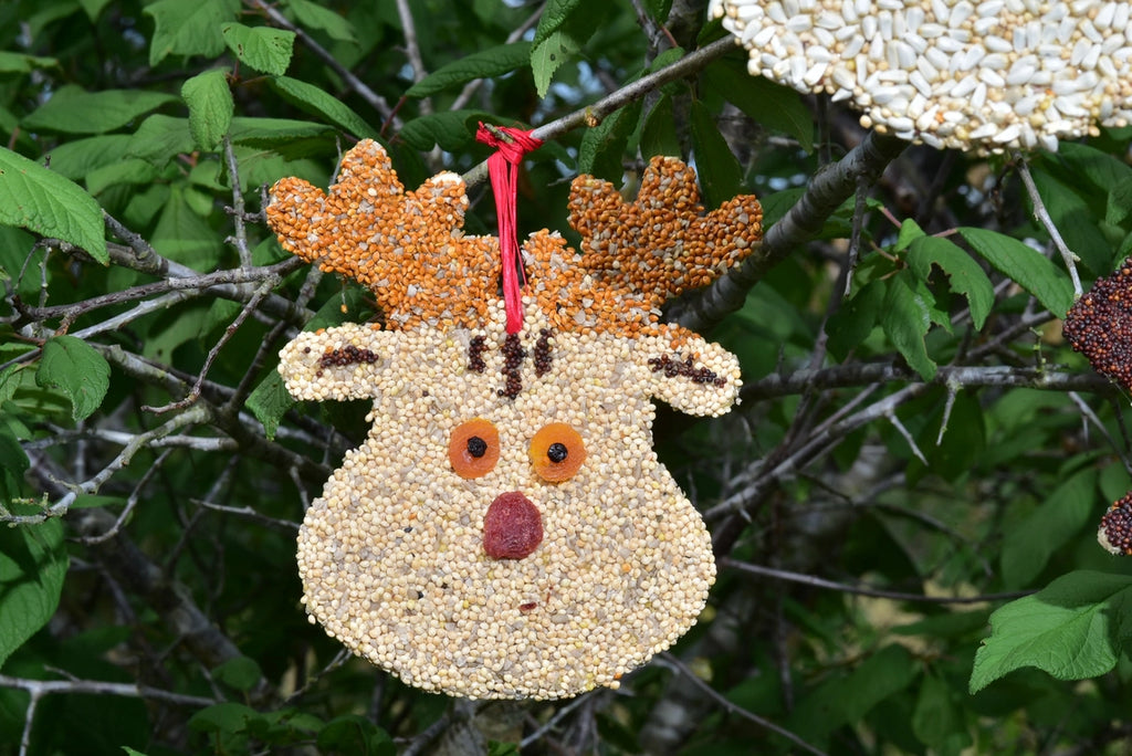 Bird Seed Christas Cookie
