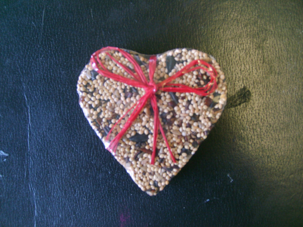 Little Heart Bird Seed Treat