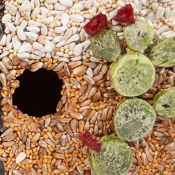 Heart of Texas Bird Seed House