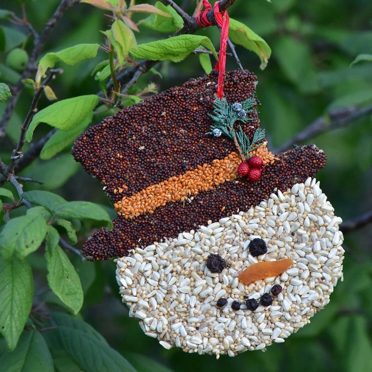 Bird Seed Christas Cookie