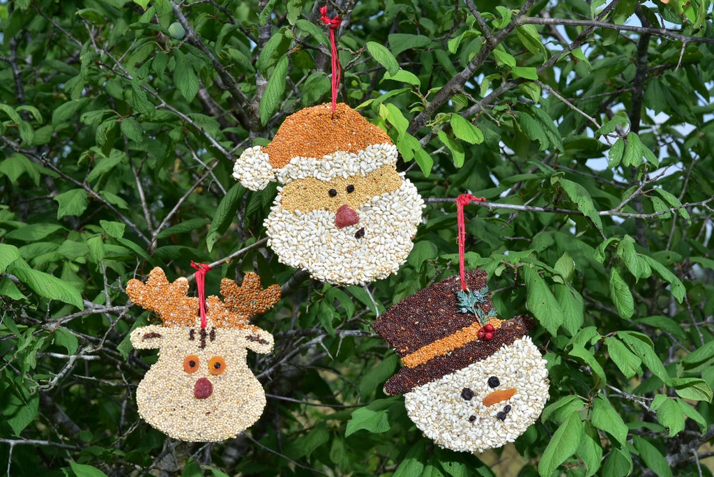 Bird Seed Christas Cookie