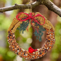 Rustic Christmas Bird Seed Wreath